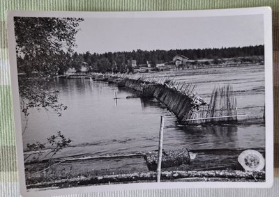 Lohipato Iijoen uomassa, takana Illinsaari Iissä,