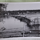 Lohipato Iijoen uomassa, takana Illinsaari Iissä, - pikkukuva 1