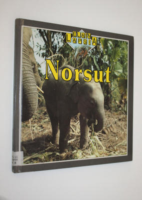 Kate Petty : Norsut