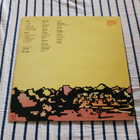 J. Karjalainen Ja Mustat Lasit – Varaani lp orig 1986 hieno - pikkukuva 2