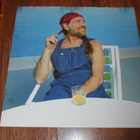 WILLIE NELSON - Without A Song - LP 1983 country EX- - pikkukuva 3