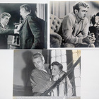 Pressikuva: James Dean - 3 kpl! - pikkukuva 1