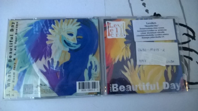 levellers - What A Beautiful Day  (cds)