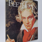 Marianne Basile : Suurmiehiä : Beethoven - pikkukuva 1
