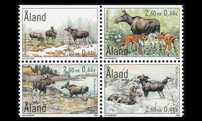 171-4vb ** Hirvet neliö (2000)