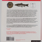 Kimberly Elam : Geometry of design : studies in proportio... - pikkukuva 2