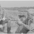 Lämminhenkinen v. 1944 rintamamies puhdetyö loistava taulu - pikkukuva 4