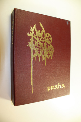 Vincenc Morstadt : Praha 1830 : miniaturni pohledy
