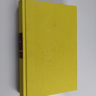 Paul Auster : Sunset Park - pikkukuva 1