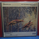 THE STONE ROSES - FOOLS GOLD 9.53 M-/EX- U.S -90 PRESS LP - pikkukuva 2