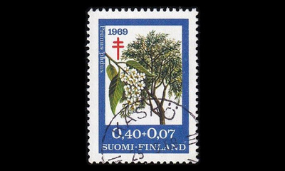 659 o Tuberkuloosi tuomi Kaskö 25.9.69 (1969)