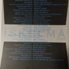 Suomi Iskelmä 2008 - pikkukuva 2