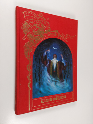 Brendan Lehane : Wizards and witches - The enchnated worl...
