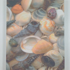 Jonathan W. et al Koontz : Lake Worth, Jewel of the Gold ... - pikkukuva 2