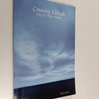 Talise DaNee : Cruising Altitude : Diary of a Flight Atte... - pikkukuva 1