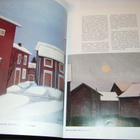JUHANI PALMU taidekirja (1993) Sis.postikulut - pikkukuva 4