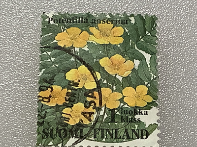 1260/ 1994 Ketokukkia 10/10 o leimattu loisto