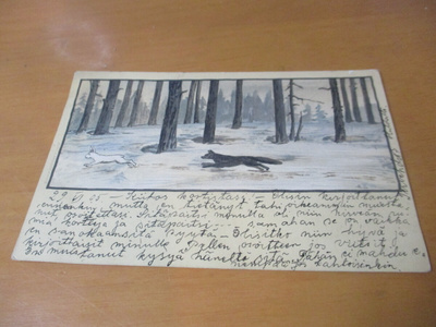 Jänis & peto - Hikiä 1905 + nrol