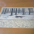 Jänis & peto - Hikiä 1905 + nrol - pikkukuva 1