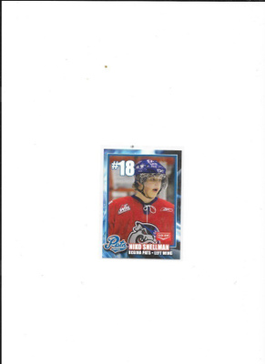 2006-07 Regina Pats #18 Niko Snellman Ilves farmi