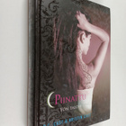 Kristin Cast ym. : Piinattu - pikkukuva 1