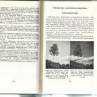 K.O. Sjöström - Amatööri-valokuvaaja - pikkukuva 3
