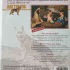 Rin Tin Tin Seikkailee : Fort Apachen Hylkiö DVD - pikkukuva 2