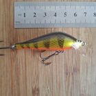 Kosto 6cm - pikkukuva 2