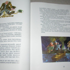 Eric Carle Suonkuninkaan tytär ja muita satuja - pikkukuva 3