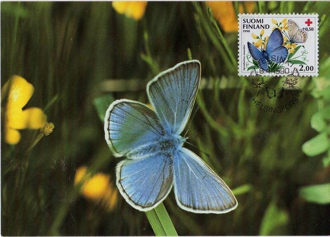 kortti Luonnossa - erilaisia valokuvakortteja