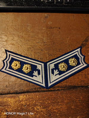 Kauluslaatat