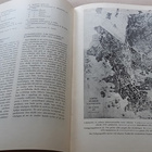 Helsingin valtaus 12.4.1918 - pikkukuva 5
