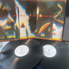 Todd Rundgren: Anthology ja Utopia: The Collection 2 x 2LP - pikkukuva 4