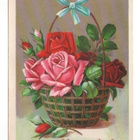 Ruusut korissa (piiretty kortti) (5S) - pikkukuva 1