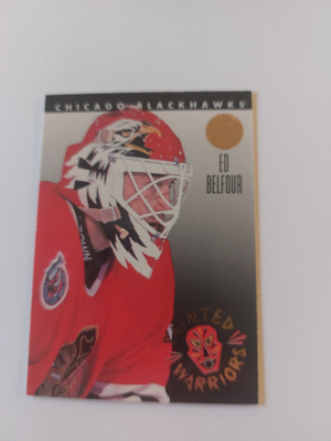 1993-94 Leaf Painted Warriors #6 Ed Belfour