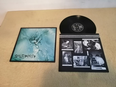 SPERMBIRDS - Nothing Is Easy LP
