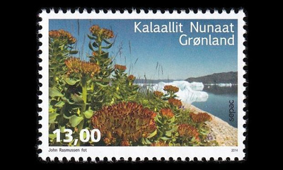 Grönlanti 659 ** SEPAC kukat (2014)