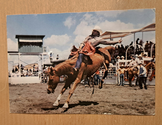 Kanada, Calgary, cowboy-ratsastus. kulkenut 1983