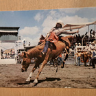 Kanada, Calgary, cowboy-ratsastus. kulkenut 1983 - pikkukuva 1