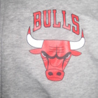 *New Era Chicago Bulls huppari, siisti koko s** - pikkukuva 2
