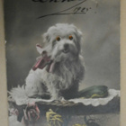 Koira, kenkä ja ruusuja (huom! Liikkuvat silmät!), p. 1924 - pikkukuva 1