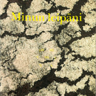 Minun Leipäni-Sulo Auvinen - pikkukuva 1