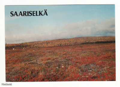 Postikortti, SAARISELKÄ