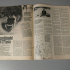 Seura 1 / 1971 - pikkukuva 2