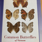COMMON BUTTERFLIES OF VIETNAM - pikkukuva 1
