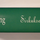 IRVING: Sirkuksen poika (1.p. 1994) *UUDENVEROINEN - pikkukuva 4