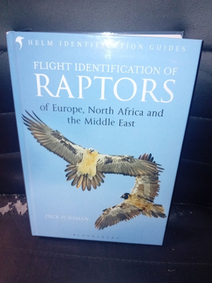 Forsman : Flight identification of Raptors ( SIS POSTIKULU