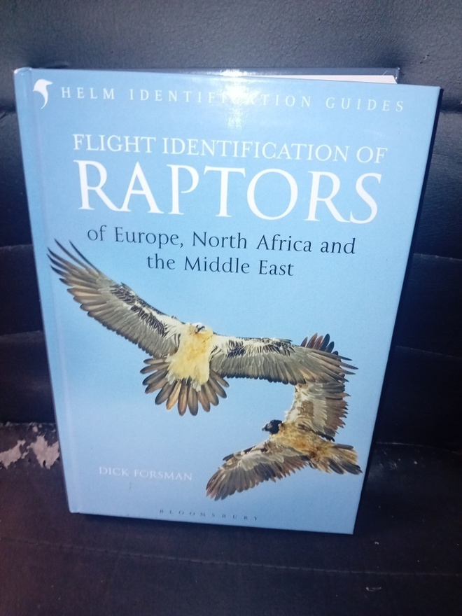 Forsman : Flight identification of Raptors ( SIS POSTIKULU