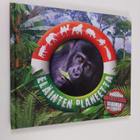 Barbara Taylor : Eläinten planeetta - pikkukuva 1
