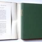 F.M. Dostojevski : Ikuinen aviomies - Kirjayhtymä 1.p 1960 - pikkukuva 2